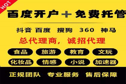 网络推广与竞价策略实战案例